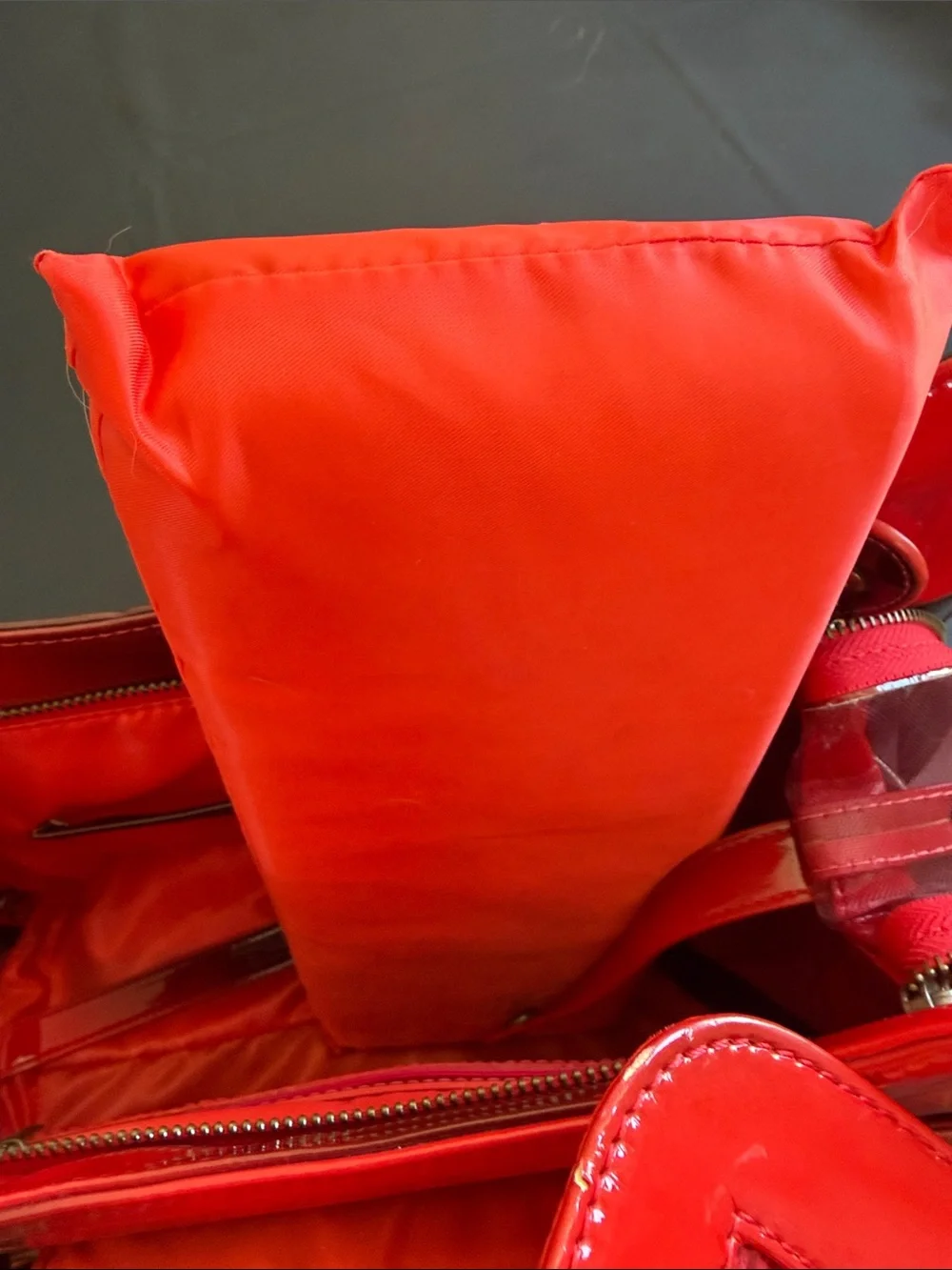 Chrome Bones Adrian Beyaz Fleur De CA Red Luxury Pet Carrier Dog Cat Travel NWT - Picture 12 of 15